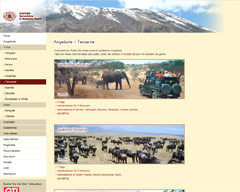Screenshot von Website: Tanzania-Angebote