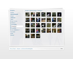 Screenshot von Website: Navigation z.B. in einer Galerieseite